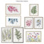 «Ruscus» par Patricia Shaw, reproduction d'art sur toile encadrée-692625270-692625256