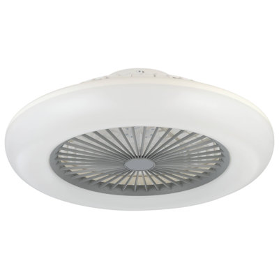 Antiope Ceiling Fan with Light Kit