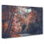 Stream Behind the Red Trees - Wrapped Canvas-56642054