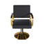 Fauteuil de coiffeur non inclinable avec fauteuil de coiffeur 360 °
