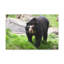 No Frame Print on Canvas-1538426979