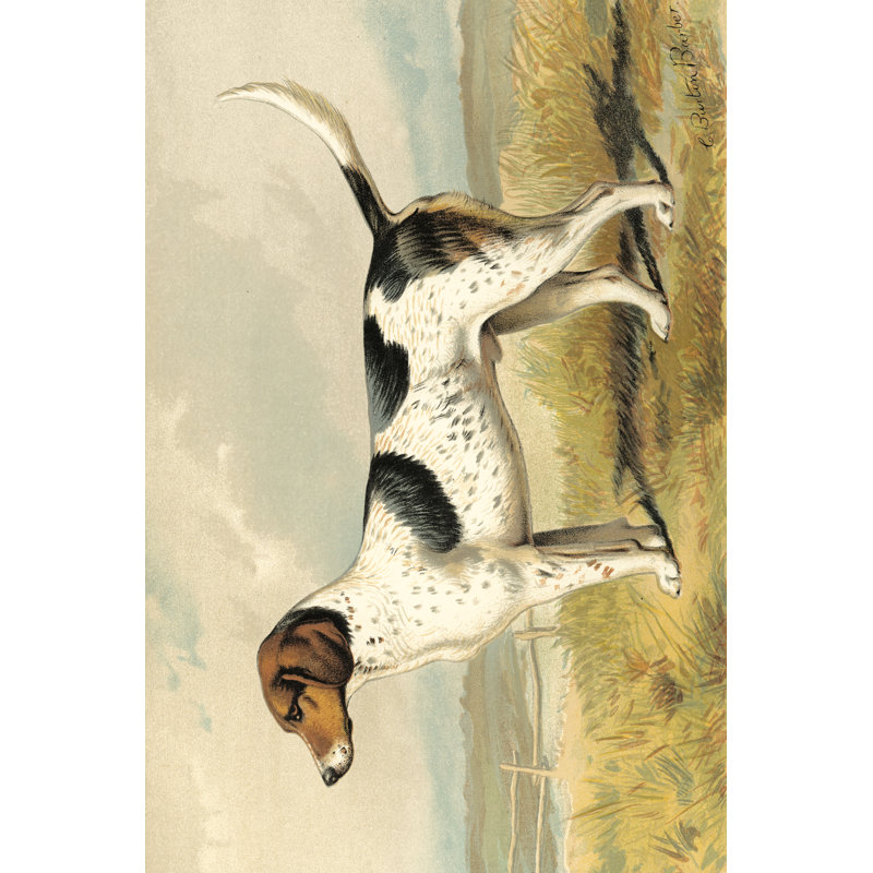 «Fox Hound», peinture sur toile, H 12 po x l 18 po x p 1,25 po, Toile tendue