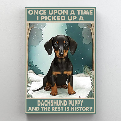 Kathy I Picked Up A Dachshund Puppy