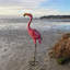 Chilchinbito Flamingo 97cm Solar Powered Integrated LED Lawn Ornament