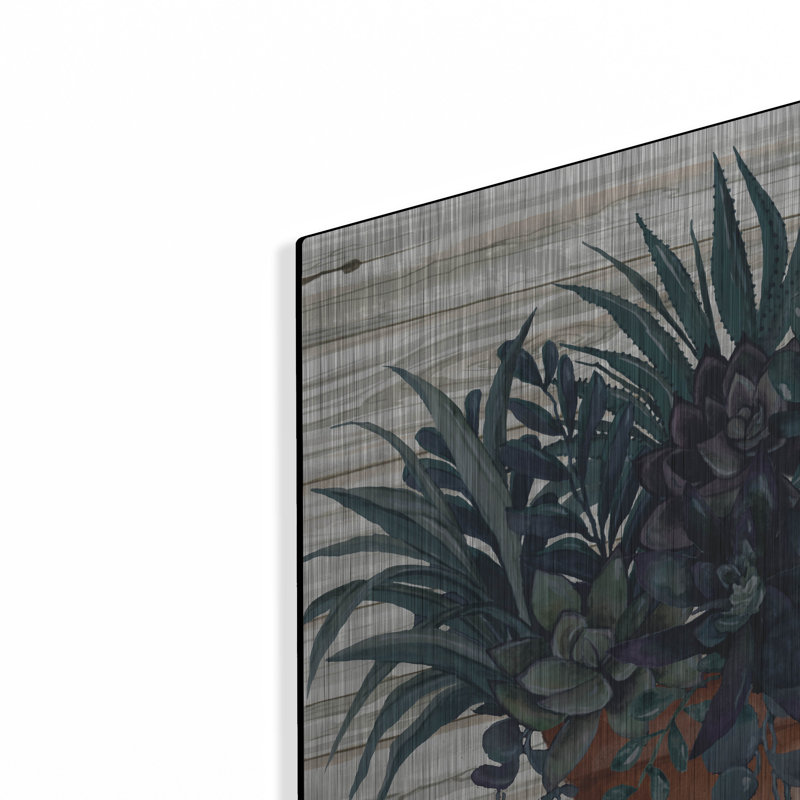 «Remarkable Succulents I» par Cindy Jacobs, H 24 po x l 24 po