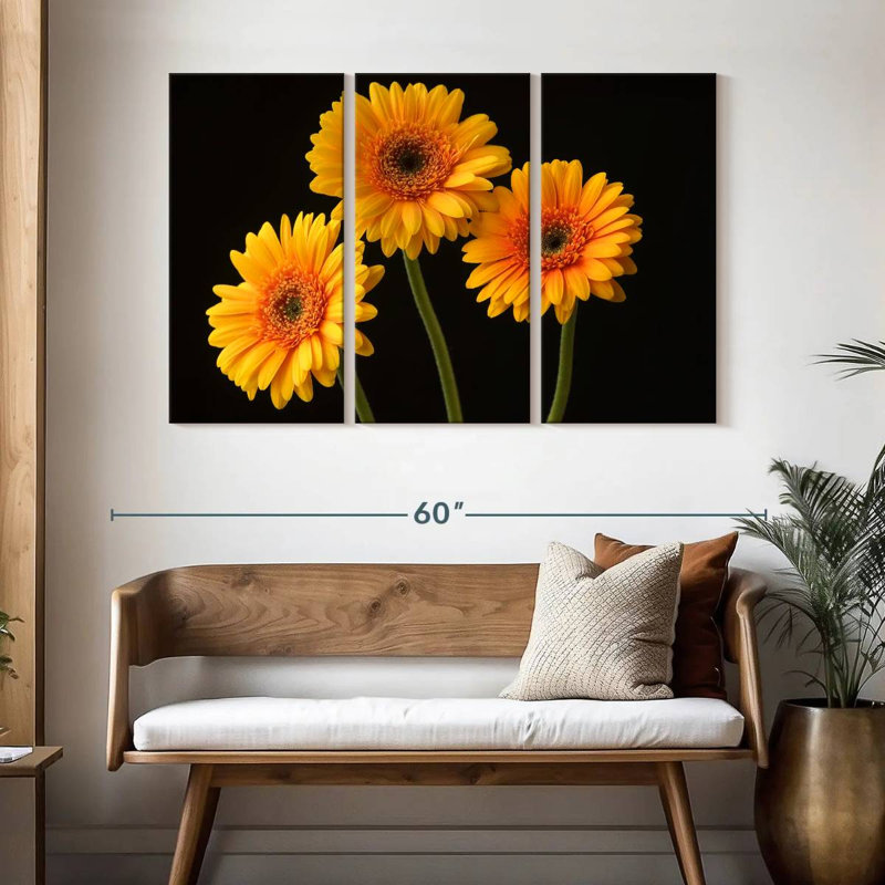 Trois marguerites Harnek sur fond sombre, H 32 po x l 50 po