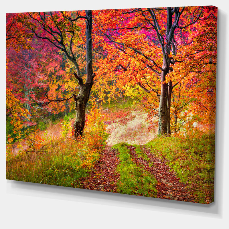 Paysage, arbres d'automne, photographie sur toile - Arbres d'automne colorés, H 28 po x l 60 po