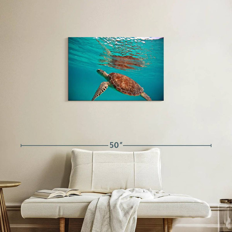 Tortue de mer flottante Brampt