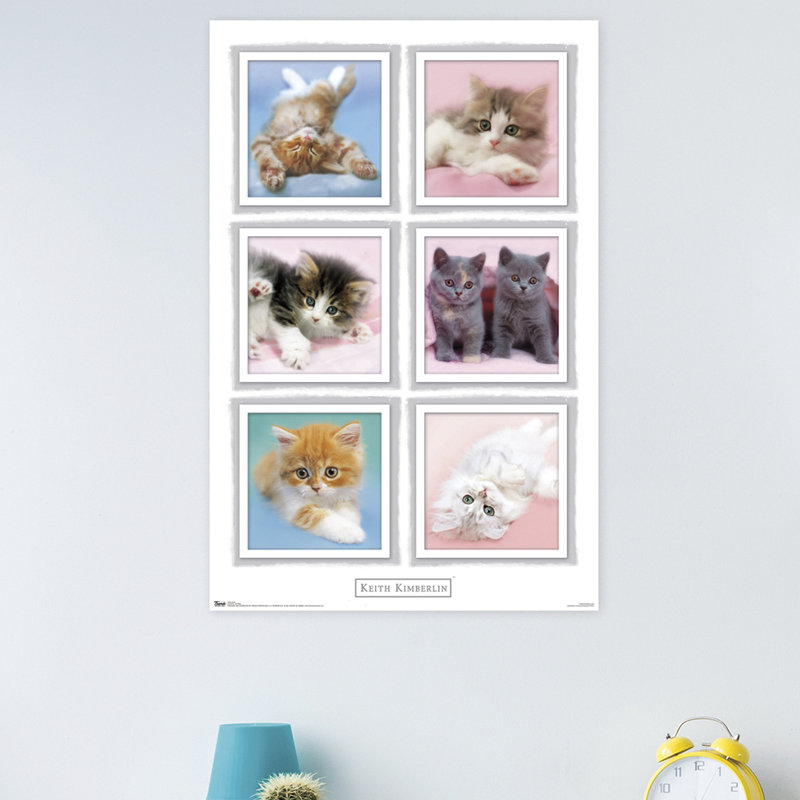 Impression sur papier kimberlin-chatons
