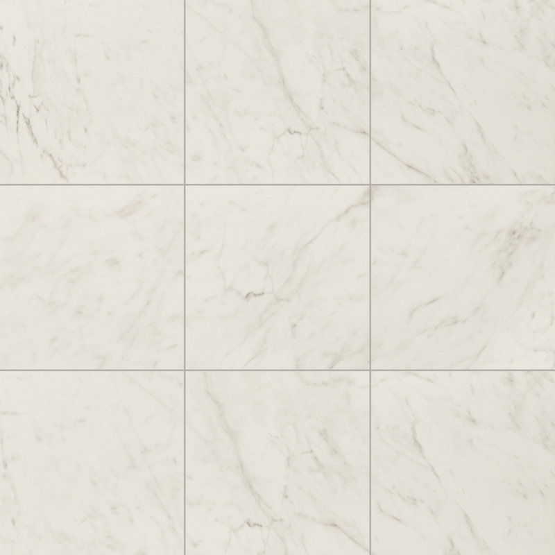 Zola 24 in. x 24 in. Matte Porcelain Marble Look Floor and Wall Tile, Arctic Pearl