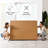 Posture Plus PX800 Adjustable Bed Base with Massage, Wireless Remote, and USB Ports-22816010