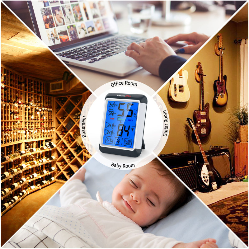 ThermoPro Thermometer