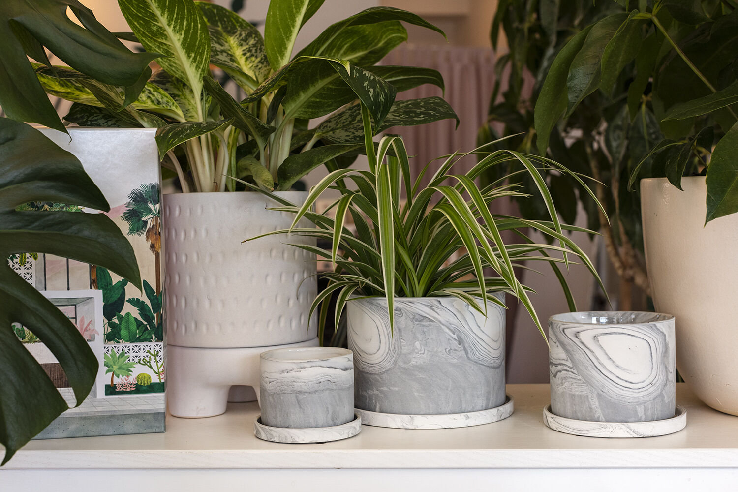 6" Ceramic Pot Planter