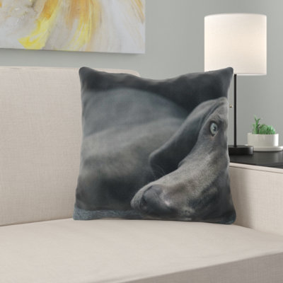 Coussin pour chien
