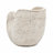 Nautilus Shell Shape Planter