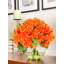 Véritable hydrangée dans un vase-1721809808