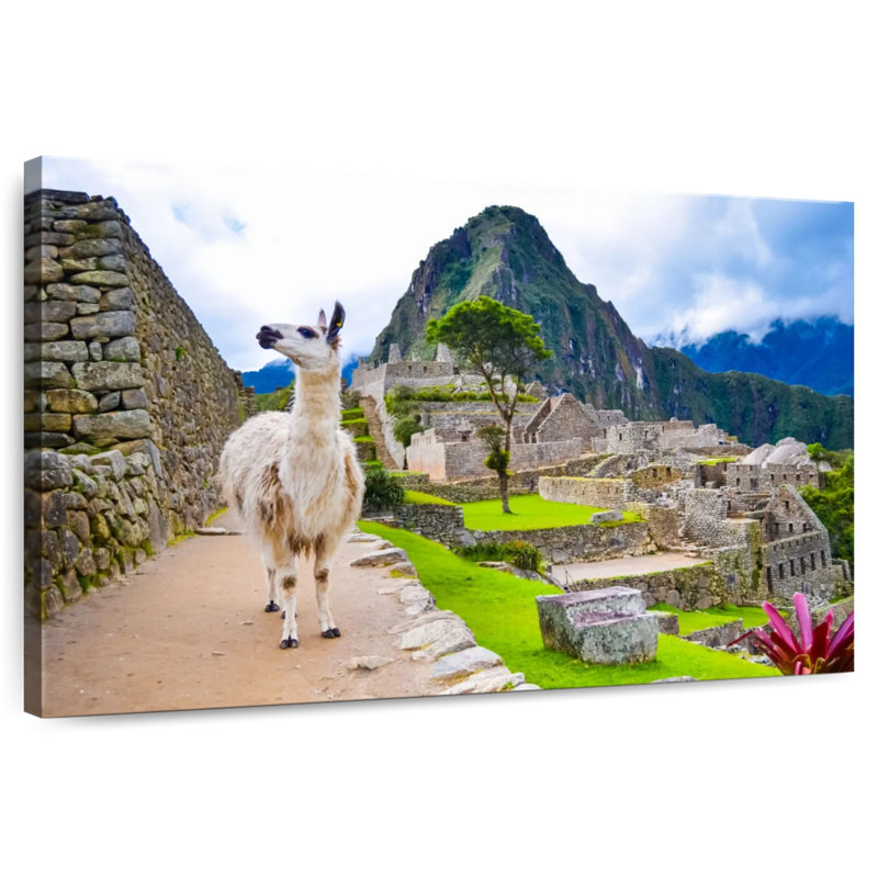 Brampt Peru Llama, 34" H x 51" W