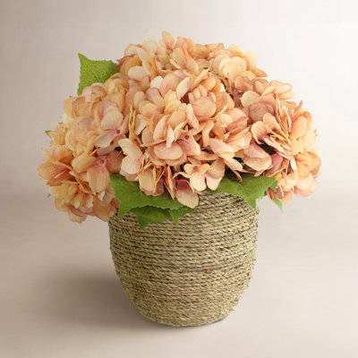 Carytown Hydrangea Floral Arrangement