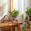 Pot à fleurs en ciment avec accents de champignons - Pot décoratif et durable pour plantes d'intérieur ou d'extérieur.-1725070431