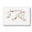 A Head of a Horse by Jean Bernard - Wrapped Canvas-55368324