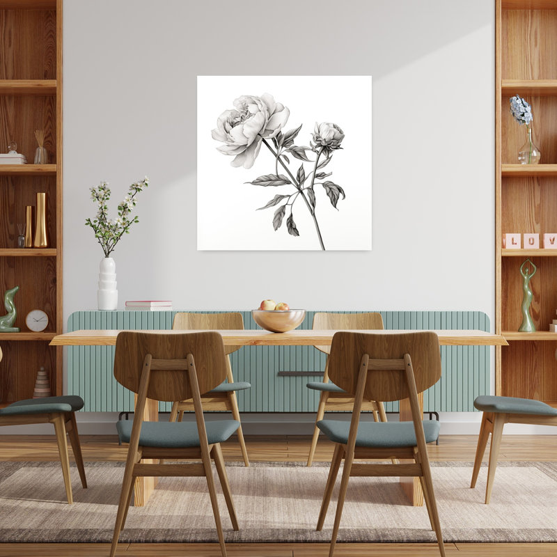 Esquisse de pivoine de campagne contemporaine contemporaine I avec illustration botanique de pivoine, H 36 po x l 36 po