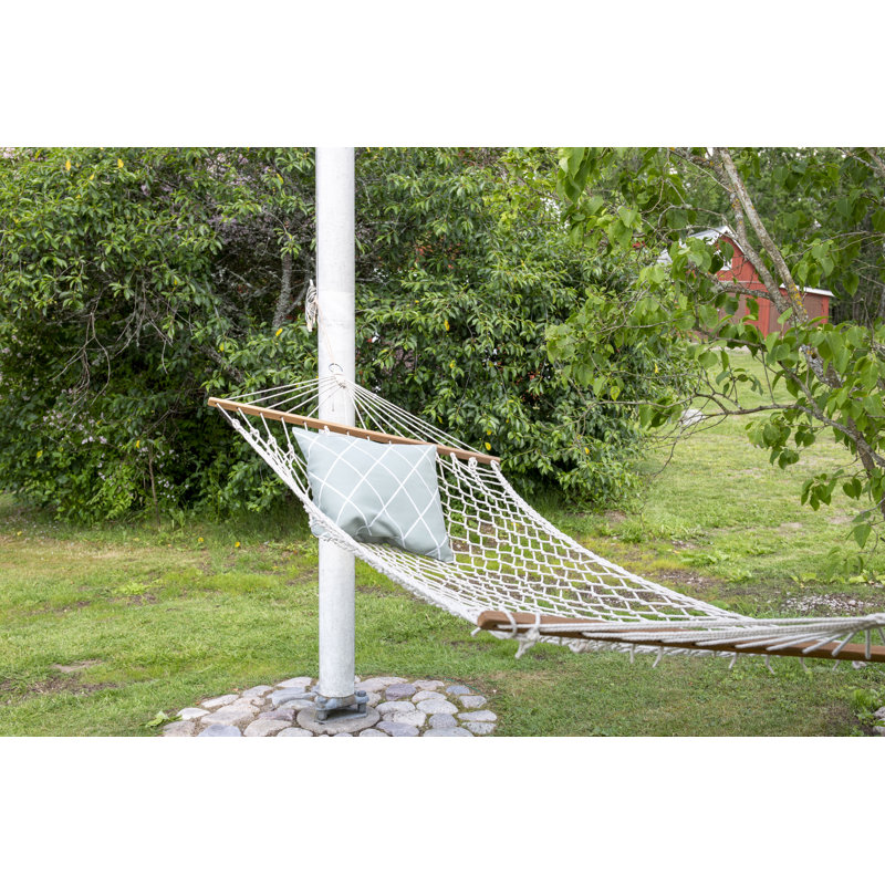 Aleana Hammock