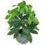 50cm Faux Plant in Pot Liner