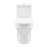 Vezina Elongated One-Piece Toilet