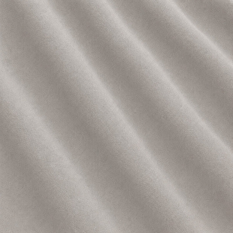 Suede | Arena Fabric, Pale