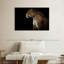 Jaguar de minuit Brampt-108725778