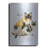 " Ragdoll " by Barbara Keith-399140690
