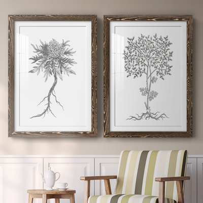 " B&W Plant Specimen III " 2 - Pieces