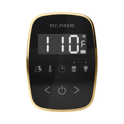 Ensemble de commande de douche à vapeur ButlerFlex Max avec contrôle TempoFlex et tête de vapeur linéaire 