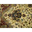 Tapis crème / ivoire traditionnel fait à la main Agra Jaipur 6X9