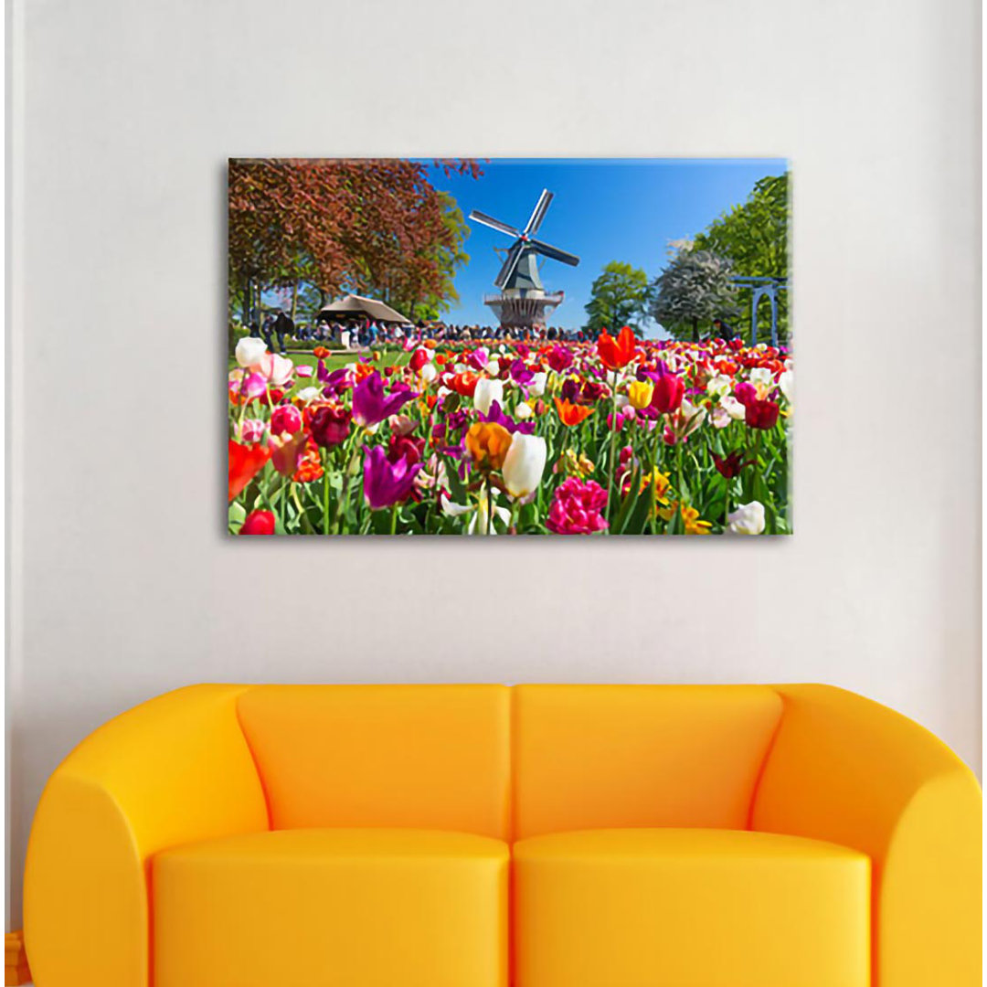 Leinwandbild Niederländisches Tulpenmeer vor einer Windmühle