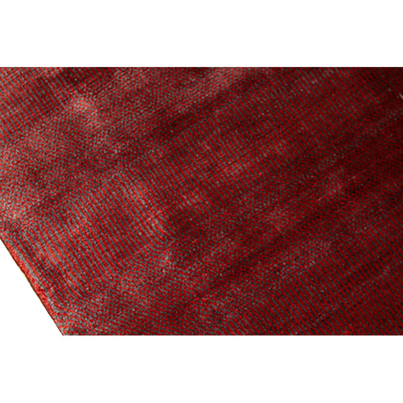 Area Rug in Red
