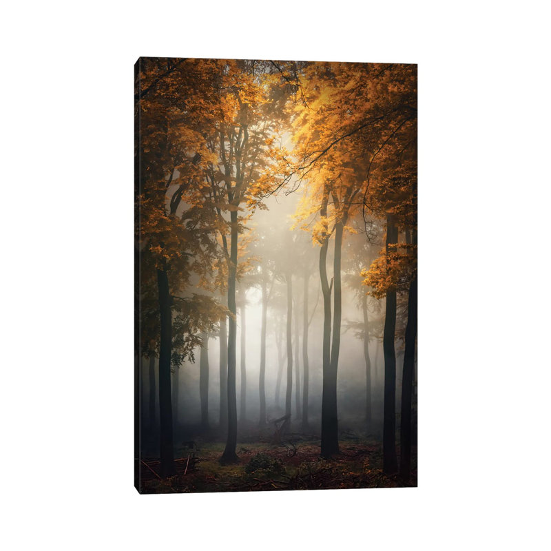 Fall 1 Piece Wrapped Canvas Wall Art, 30.48 cm H x 45.72 cm W
