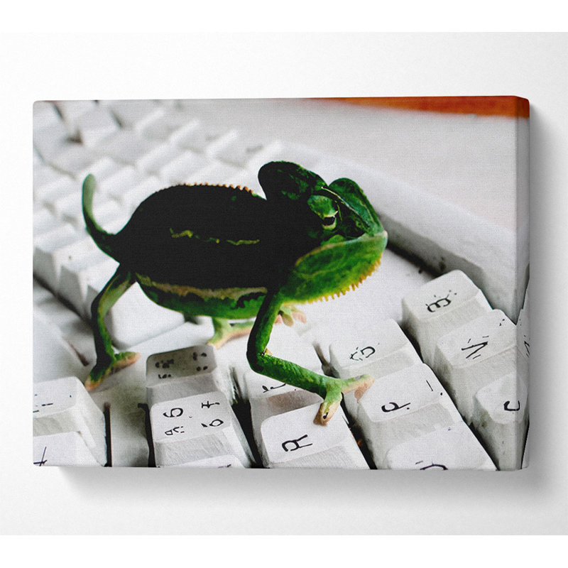 Lizard Keyboard - Wrapped Canvas Print, 66cm H x 106.6cm W x 10cm D