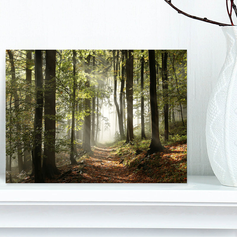 «Green Fall Forest with Sun Rays - Forest», reproduction de photo, H 8 po x l 12 po, Toile tendue, Sans cadre