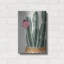 «Flowering Cactus» par House Fenway-1545712473