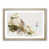 Oak Framed selected