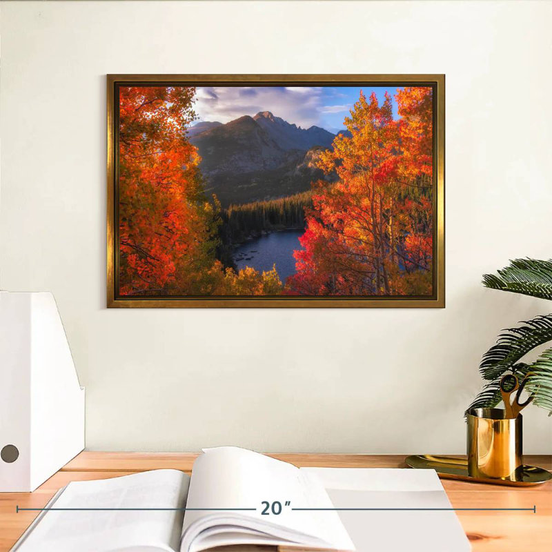 Rocky Mountain Autumn, Cadre flottant doré, 13 po x 9 po