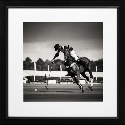 Polo I - Single Picture Frame Print