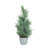 Artificial Green Christmas Traditional Tree in Bucket-746132330