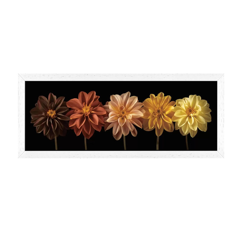 Floral Salute by Assaf Frank - Panoramic Print on Canvas, 152.4 cm H x 50.8 cm W x 1.91 cm D, White Framed