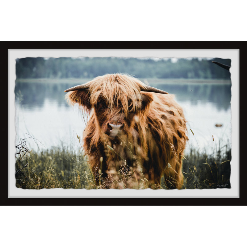 Lakeside Grass - Single Picture Frame Print, 61cm H x 91cm W x 3.81cm D