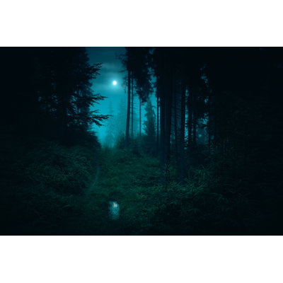 Footpath In The Dark - Wrapped Canvas Print
