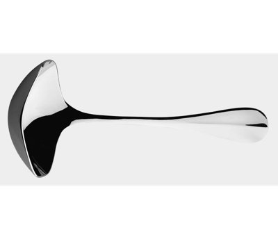 Blois Stainless Steel Ladle