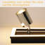 Spotlight-671439042-671439055