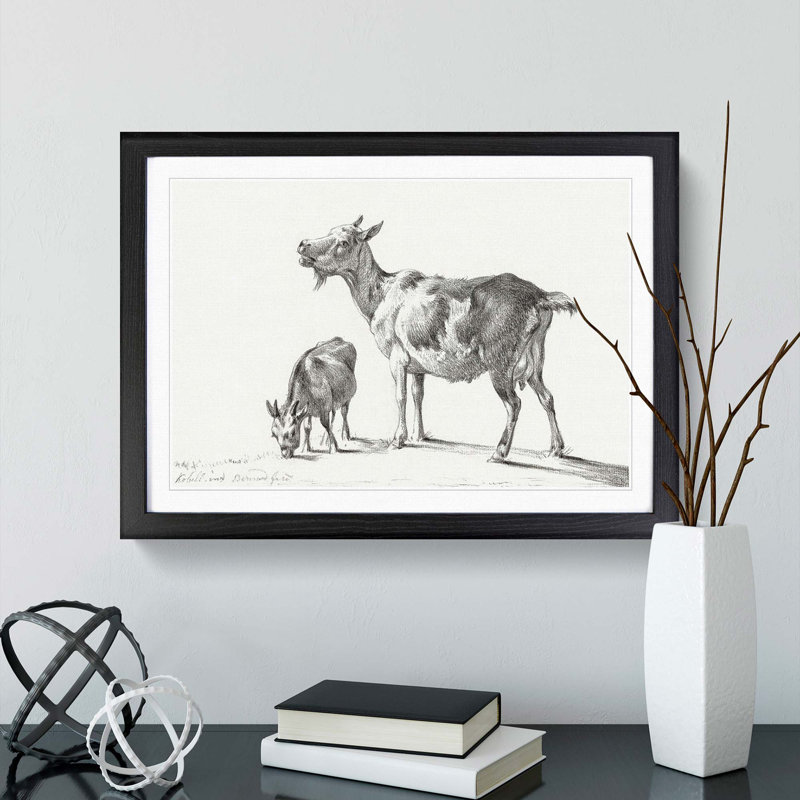 Two Goats by Jean Bernard - Picture Frame Drawing Print, 36cm H x 48cm W x 2cm D, Black Framed